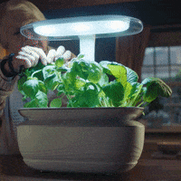 Like A Boss Cooking GIF by Bosch