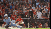 Baseball Mlb GIF by Cincinnati Reds
