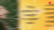 Dogs Fly GIF by BuzzFeed