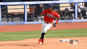 regular season sport GIF by MLB