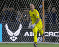 Lets Go Win GIF by Major League Soccer