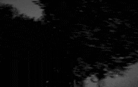jean-luc godard GIF by Maudit