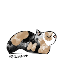 Cat Sleeping Sticker by ÇeşmeBazlamaKahvaltı