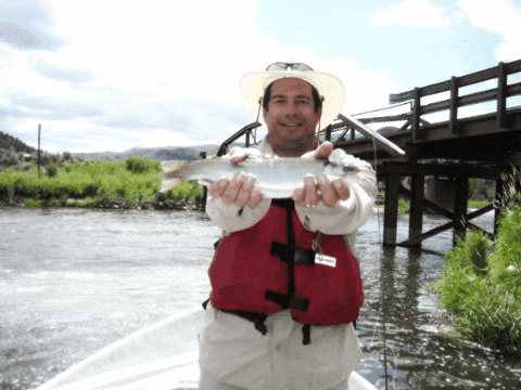 charlesreedcagle giphygifmaker giphyattribution GIF