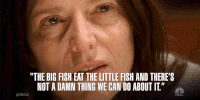 Season 19 Nbc GIF by SVU