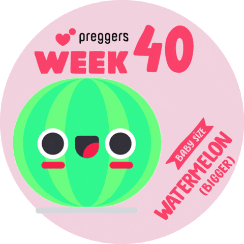 Baby Watermelon Sticker by Preggers