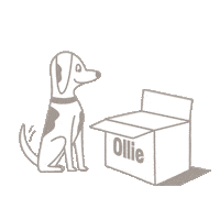 Happy Dog Food Sticker by Ollie Pets