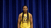 wnba feverbasketball GIF by Indiana Fever