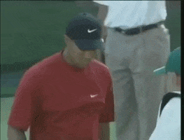 high five tiger woods GIF