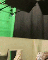 Lab Onf GIF by Alex Boya