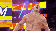 Brock Lesnar Reaction GIF by WWE