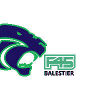 Panthers Sticker by F45AB