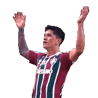 German Cano Flu Sticker by Fluminense Football Club