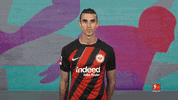 Eintracht Frankfurt GIF by Bundesliga