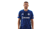 Schalke 04 Yes Sticker by Bundesliga