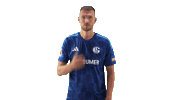 Schalke 04 Love Sticker by Bundesliga