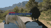 Puppets Marionette GIF by Elvis Costello