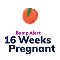 Pregnancy Expecting Sticker by The Bump