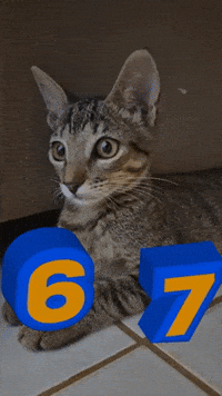 7 GIF