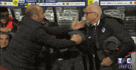 happy ligue 1 GIF by Toulouse Football Club