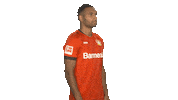 Posing Bayer 04 Sticker by Bundesliga