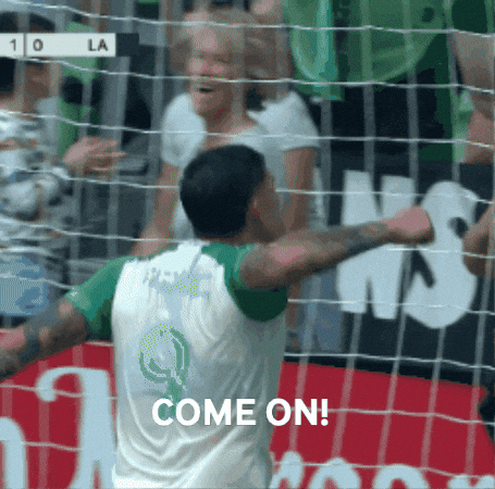 Vamos Lets Go GIF by Major League Soccer