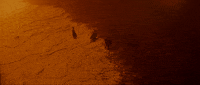 Ty Dolla Sign Lifetime GIF by Swedish House Mafia