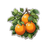 Orange Plant Sticker by Kushy Dreams