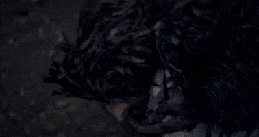 Halloween Bird GIF by Crypt TV