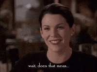 season 1 netflix GIF by Gilmore Girls 
