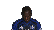 Look Up Hamburger Sv Sticker by Bundesliga