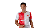 Football Soccer Sticker by SK Slavia Praha