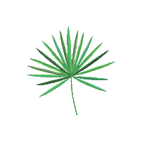 hairmax palmetto hairmax Sticker