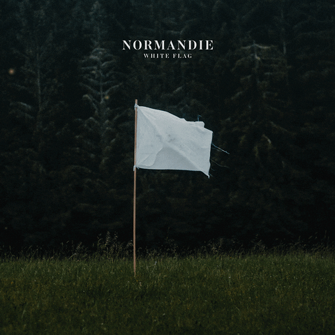 white flag GIF by Normandie