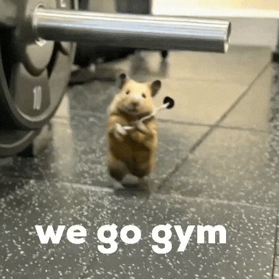 Work Out GIF