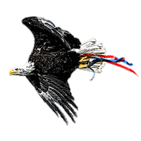 Premier League Football Sticker by CPFC