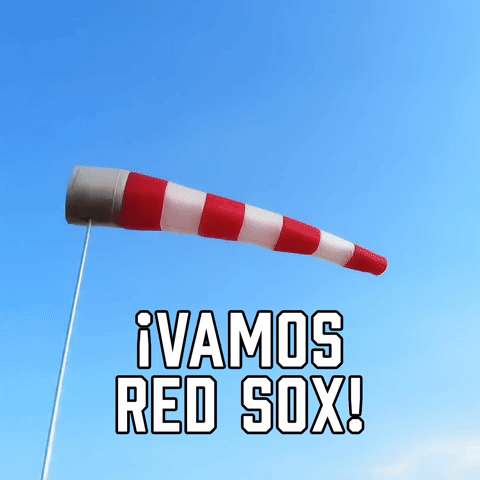 ยกVamos Red Sox!