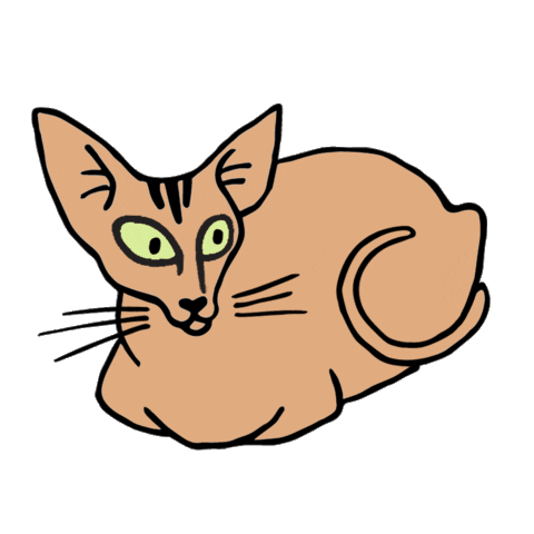 Cat Geegee Sticker