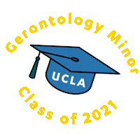 Public Affairs Classof2021 Sticker by UCLA Luskin Undergraduate Program