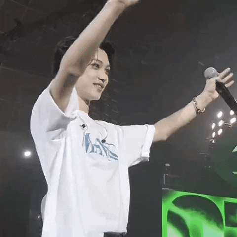 Stray Kids Felix GIF