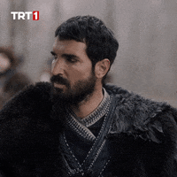 Trt1 Alparslan GIF by WASS Medya