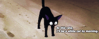 kikis delivery service cat GIF