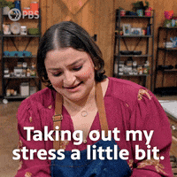 Stressed Season 3 GIF by PBS