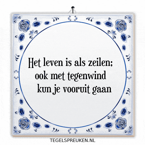 Humor Nl GIF by Tegelspreuken.nl