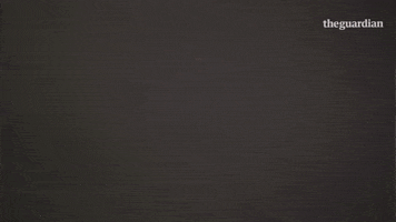 Tech Bitcoin GIF by The Guardian