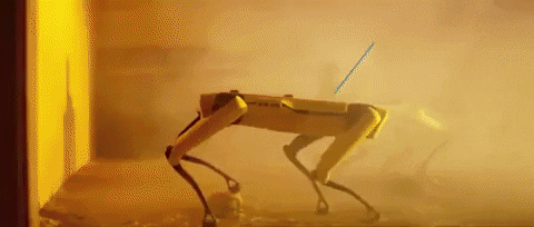 jstratton giphygifmaker dog robot spot GIF
