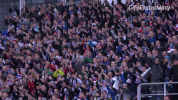 GIF by Ekstraklasa