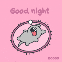 toffersdoggo dog night sleep goodnight GIF