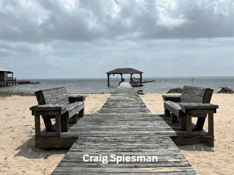 craigspiesman giphygifmaker giphyattribution GIF