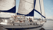 HallmarkChannel love romance hallmark hallmark channel GIF
